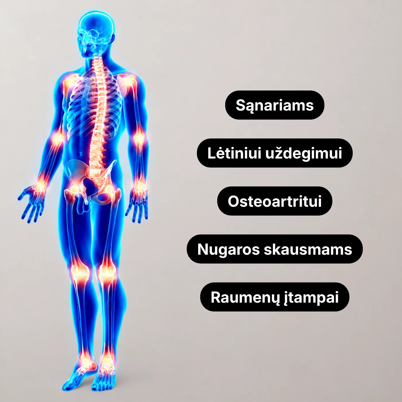 Raminantis gelis (4 vnt) su Harpagophytum (velnio augalu ): sąnariams, lėtiniui uždegimui, osteoartritui, nugaros skausmams, raumenų įtampai + DOVANA Raminantis gelis (4 vnt) su Harpagophytum (velnio augalu ): sąnariams, lėtiniui uždegimui, osteoartritui, nugaros skausmams, raumenų įtampai + DOVANA